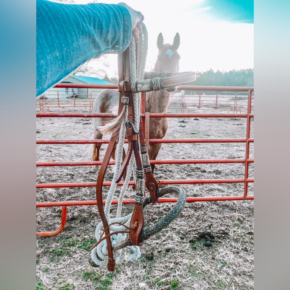 LOPING HACKAMORE